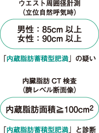 内臓脂肪ct検査 公立学校共済組合 中国中央病院